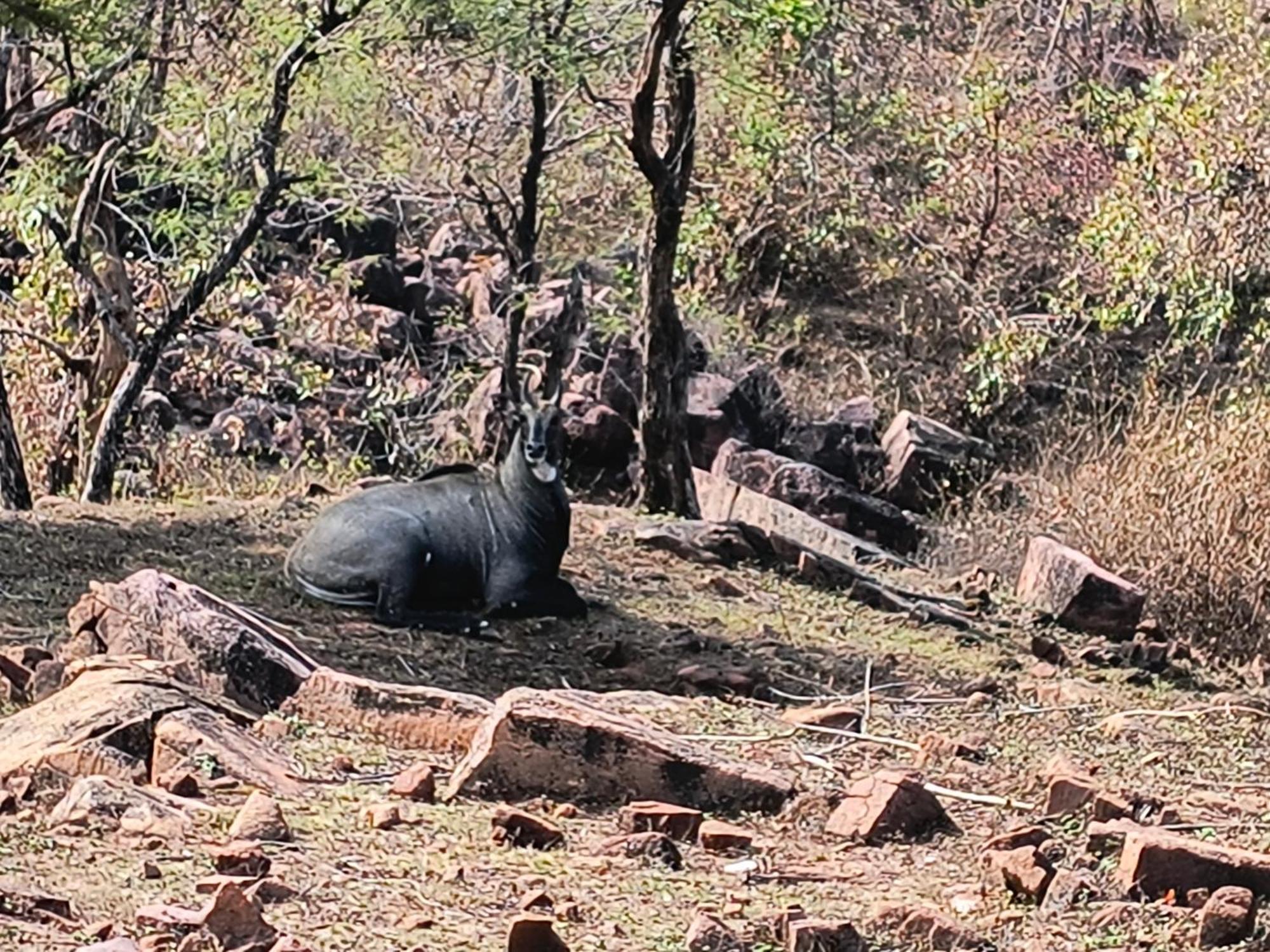 Khajuraho Dreams Homestay Eksteriør bilde